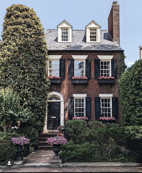 White Picket Fence Ideas, Picket Fence Ideas, Sky Window, Welcome June, Fence Designs, Sims House Design, White Picket Fence, Be Gentle, Dream Apartment