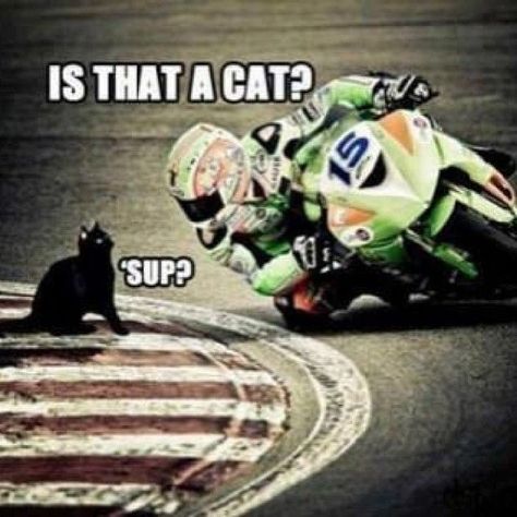 Motocross Funny, Motorcycle Humor, Jokes For Teens, Funny Motorcycle, Funny Photoshop, Dump A Day, Funny Animal Jokes, 웃긴 사진, Very Funny Pictures