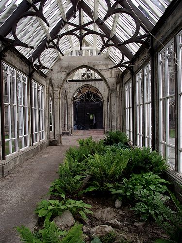 Old conservatory!!! Bebe'!!! Love the fern garden!!! Now just add some trees and flowering plants!!! A little seating area too would be nice!!! Old Conservatory, Conservatory Greenhouse, Best Greenhouse, Lots Of Plants, Conservatory Garden, Magic Places, Plants Growing, Ivy House, Wooden Greenhouses