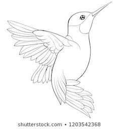 Hummingbird Coloring Pages, Hummingbird Images, Cute Hummingbird, Hummingbird Drawing, Hummingbird Pictures, Hummingbird Painting, Hummingbird Art, Adult Coloring Book Pages, Bird Drawings