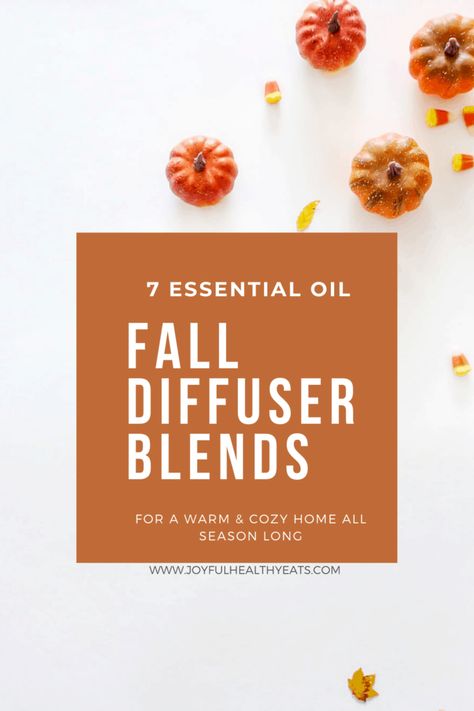 The Best 7 Essential Oil Fall Diffuser Blends guaranteed to make your home smell warm and cozy all season long! You'll be ditching the candles in no time and making these diffuser blends on repeat! #youngliving #essentialoils #aromatherapy #cozy #fall #joyfulhealthyeats #planttherapy Nutmeg Oil, Copaiba Oil, Fall Diffuser Blends, Best Essential Oil Diffuser, Oils For Health, Oils For Sleep, How To Make Oil, Ginger Oil, Essential Oil Mixes