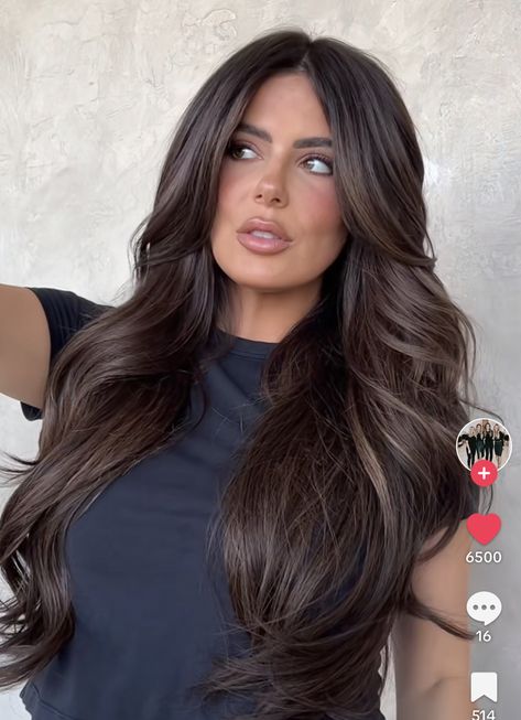 Level 3 Brunette Hair, Brunette Dimensional Hair Dark, Boujee Brunette Hair, Sophisticated Brunette Hair, Expensive Brunette Black Hair, Kim Kardashian Hair Color Dark, Dark Hair Subtle Money Piece, Dark Hair Reverse Balayage, Deep Cool Brown Hair