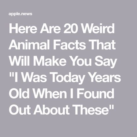 Weird Facts About Animals, Today Years Old Facts, I Was Today Years Old When I Found Out, Weird Animals Funny, Funny Animal Facts, Weird Animal Facts, I Was Today Years Old, Today Years Old, You Just Realized