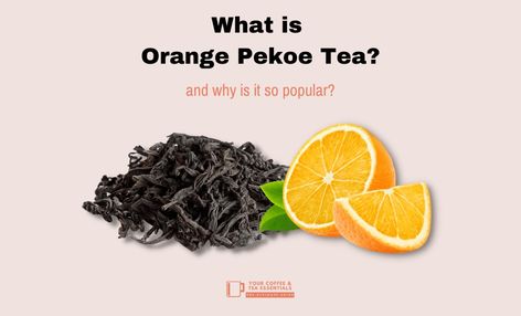 Is it orange-flavored tea? And if so, what is the "Pekoe" part? If not, then what the heck is it? Learn more about this tea, link below 👇 https://yourcoffeeandtea.com/what-is-orange-pekoe-tea/ #yourcoffeeandtea #milktealover #tealoversunite #teafortwo #teaforlife #teaforone #teatime🍵 #teabreak #thursdaytreat #thursdayevening #teablends #teawithmilk #orangepekoe #blacktea #greentea Black Tea Benefits, Orange Pekoe Tea, Tea Labels, Darjeeling Tea, Tea Plant, Orange Tea, Tea Health Benefits, Tea Benefits, Tea Tasting