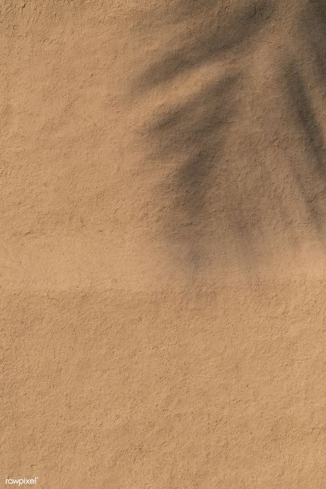 Tree branch shadow on a grunge wall | free image by rawpixel.com / Jira Wall Shadow, Shadow Background, Sun Background, Beauty Skin Quotes, Minimal Background, Shadow Images, Paper Background Design, Concrete Texture, Simple Aesthetic