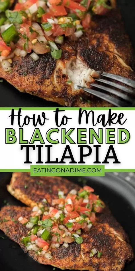 The Best Blackened Tilapia Recipe - Blackened Tilapia Talapia Ideas Stove Top, Grilled Tilapia Recipes, Seafood Night, Pan Fried Tilapia, Frozen Tilapia, Bariatric Meals, Fried Tilapia, Blackened Tilapia, Grilled Tilapia