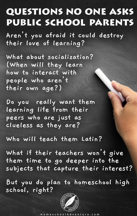 What they should ask Homeschool Socialization, Homeschool Humor, Teaching Critical Thinking, Homeschool Quotes, Biblical Worldview, Lesson Learned, Homeschool Education, Homeschool Inspiration, Homeschool Encouragement