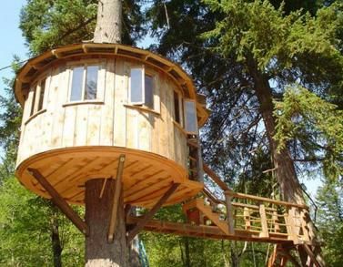 Simple Tree House, Treehouse Masters, Building A Treehouse, Tree House Plans, Tree House Kids, Cool Tree Houses, Simple Tree, Tree House Designs, Unusual Homes