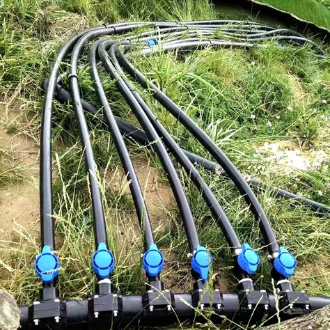 1 hectare Model Farm Agricultural Irrigation Systems Irrigation Cylindrical Emitter Drip Pipe https://m.alibaba.com/product/1600558872321/1-hectare-Model-Farm-Agricultural-Irrigation.html?__sceneInfo={"cacheTime":"1800000","type":"appDetailShare"} Drip Tape, Irrigation Systems, Drip Irrigation System, Drip Irrigation, Concrete Structure, Irrigation System, Pvc Pipe, Buy 1, Agriculture