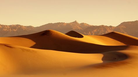 Desert HD 1080p #deserts #1080p #desert #1080P #wallpaper #hdwallpaper #desktop Desert Wallpaper, Desert Sand Dunes, Sandy Desert, Panorama Photography, Desert Tortoise, Desert Sahara, Human Body Parts, Wallpaper Computer, Latest Hd Wallpapers