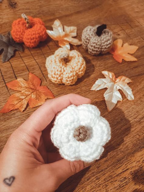 Pumpkin Amigurumi, Crochet Fall Decor, Pumpkins Diy, Crochet Pumpkins, Mini Amigurumi, Single Crochet Decrease, Crochet Cardigans, Fall Crochet Patterns, Quick Crochet Patterns