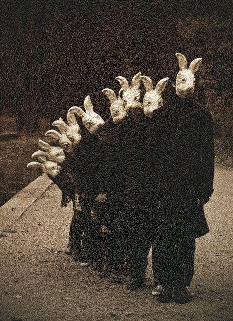 Rabbit Head Mask, Animal Mask Aesthetic, Horror Mask Aesthetic, Rabbit Mask Aesthetic, Bunny Mask Aesthetic, Creepy Mask Aesthetic, Rabbit Mask Creepy, Scary Masks Creepy, Mask Aesthetic Dark