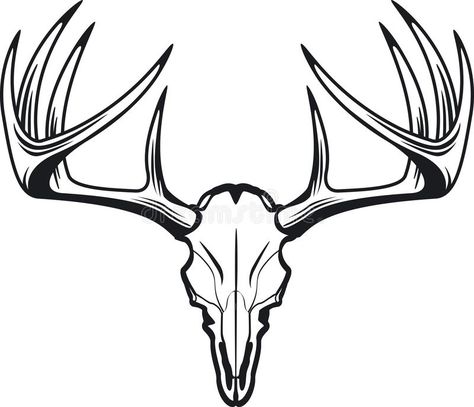 Whitetail Buck Tattoos, Buck Skull Tattoo, Buck Skull Drawing, Simple Deer Skull Tattoo, Deer Skull Drawing Simple, Deer Skull Svg Free, Deer Skull Drawing, Deer Drawings, Buck Tattoo