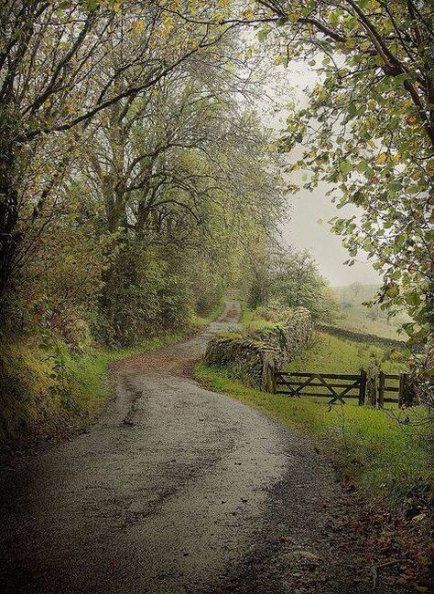 Country Landscaping, Dirt Road, Green Gables, English Countryside, Cumbria, Carlisle, Lake District, Country Life, Beautiful World