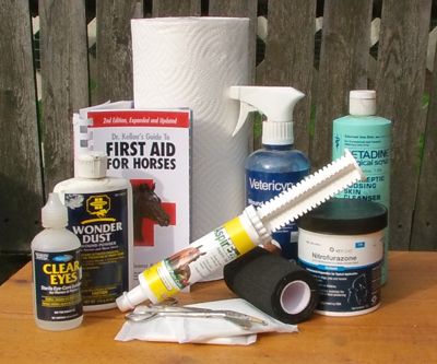 Horse First Aid Kit, Horse First Aid, Horse Wound Care, Barn Hacks, Equine Care, Horse Information, Healthy Horses, Horse Care Tips, Horse Camp