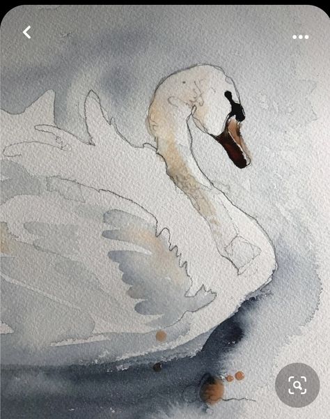 Watercolor Over Pencil, Watercolor Pencils For Beginners, Acvarel Painting Ideas Easy, Swan Drawing, Quick Watercolor, Swan Art, Swan Painting, Swans Art, Watercolor Ideas