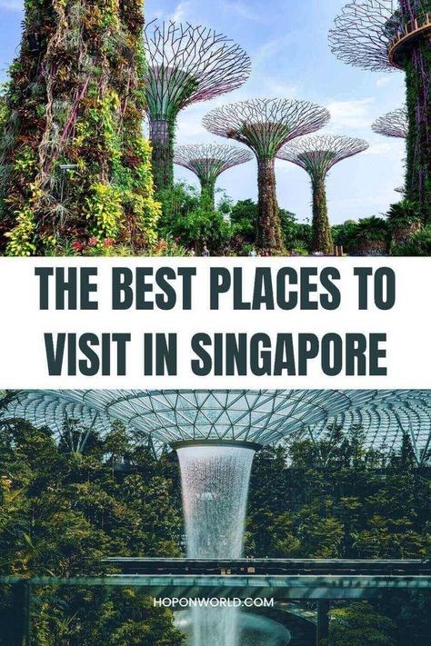 singapore super grove trees Singapore Best Places, Singapore Attractions Places To Visit, Singapore Must Visit Places, Singapore Places To Visit, Singapore Things To Do, Singapore Vacation, Singapore Travel Tips, Singapore Attractions, Singapore Itinerary