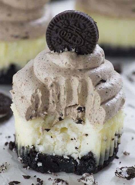 Oreo Cheesecake Cupcakes, Rich Chocolate Dessert, Mini Oreo Cheesecake, Mousse Chocolate, Oreo Cookie Crust, Sweetest Dreams, Cheesecake Cupcakes, Oreo Dessert, Oreo Cookie