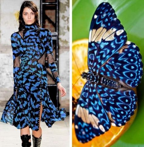 Insects Fashion, Fashion Design Inspiration Board, Fashion Show Themes, Creepy Crawlers, Nature Inspired Fashion, Fashion Nature, High Fashion Dresses, Nature Dress, Into Fashion