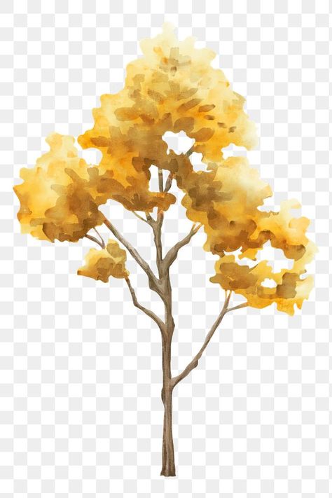 Plant Collage, Landscape Architecture Graphics, Tree Photoshop, Tree Watercolor, Yellow Plants, Yellow Tree, Landscape Sketch, Tree Png, Tree Tree