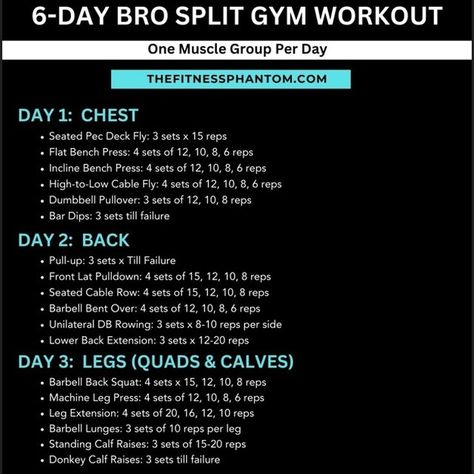 Try this 6-day Bro Split to Build and Sustain Muscle Mass. 💪 This program involves training one muscle group daily for six days a week and will help you develop strength, mass, and muscularity over time. It is suitable for those who want a simple and easy-to-follow gym routine. #workoutroutine #exerciseplan #gymworkoutplan #musclebuildingworkout #workoutplan #workoutprograms 5 Day Split Workout Routine For Men, Daily Gym Routine, Bro Split, Split Workout Routine, Mens Body Types, Split Workout, Cable Row, Workout Splits, Workout Routine For Men