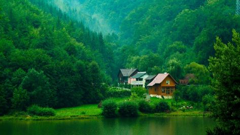 #house #mountains #forest #lake pine forest #4K #wallpaper #hdwallpaper #desktop Nature Desktop, Hd Nature Wallpapers, Image Nature, Green Valley, Forest House, Green Nature, Nature Backgrounds, Beautiful Places In The World, Alam Yang Indah