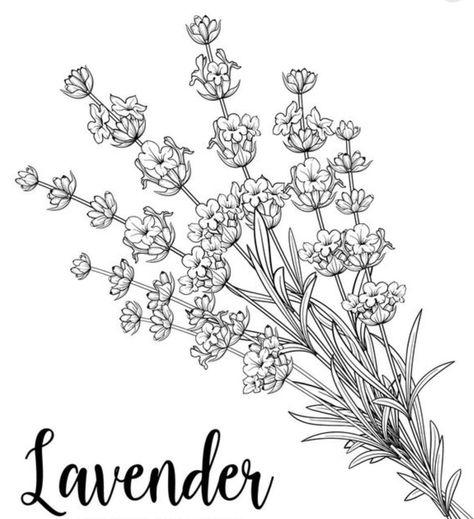 Flower Wreath Tattoo, Wreath Tattoo, Lavender Tattoo, Tattoo Reference, Tattoo Stencils, Cat Tattoo, Flower Wreath, Lavender, Clip Art