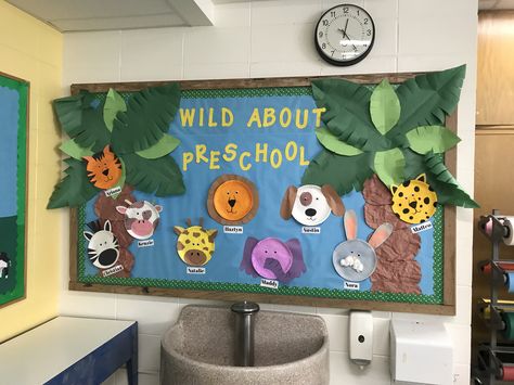 Wild about preschool bulletin board #Animals #bulletinboard #preschool Animal Theme Display Board, Zoo Themed Bulletin Boards, Cheetah Bulletin Board, Wild Animals Bulletin Board Ideas, Zoo Animal Bulletin Board Ideas, Animal Bulletin Board Ideas Preschool, Wild Animal Bulletin Board Ideas, Wild About Learning Bulletin Board, Zoo Bulletin Board Ideas Preschool