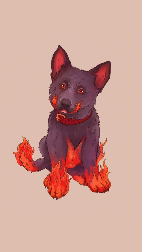 Hell Hound, Hybrid Art, Creatures Art, Art Fantasy, Anime Wolf, Fantasy Creatures Art, Mythical Creatures Art, Dog Drawing, Creature Concept