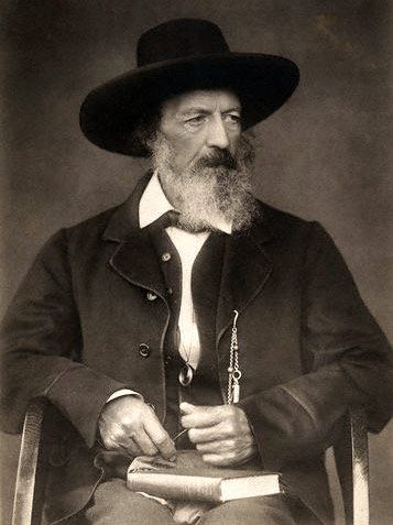 Lord Alfred Tennyson (1809 ~ 1892) Poet Laureate of Great Britain and Ireland. Alfred Lord Tennyson Quotes, Romantic Movement, Poet Laureate, Alfred Tennyson, Lord Tennyson, Julia Margaret Cameron, Alfred Lord Tennyson, Edward Lear, Michel De Montaigne