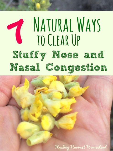 Seven Natural Ways to Clear Up a Stuffy Nose and Nasal Congestion FAST! Get Rid Of Congestion Fast, Remedy For Sinus Congestion, Natural Remedies For Congestion, Chest Congestion Remedies, Congestion Remedies, Sinus Remedies, Home Remedies For Sinus, Natural Decongestant, Stuffy Nose Remedy