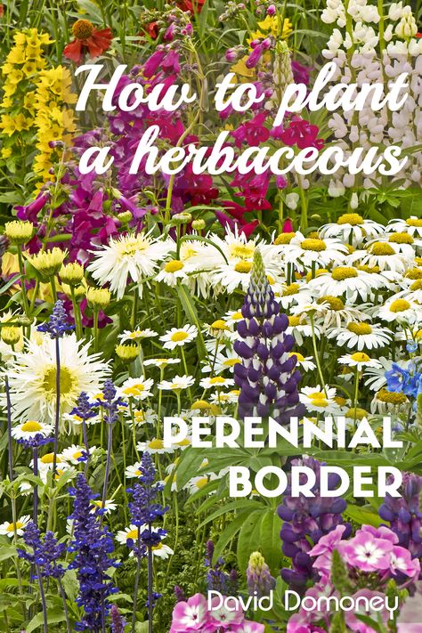 Perennial Border Garden Plans, Mixed Herbaceous Border, Perennial Border Design, All Year Round Plants, Perennial Borders, Flower Borders, Border Ideas, Herbaceous Border, Perennial Border