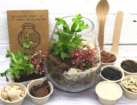 Create your own unique terrarium with a Flower and Twig Nursery terrarium kit. - #terrariums # Unique Terrarium, Terrarium Gifts, Diy Terrarium Kit, Terrarium Kit, Diy Succulent Terrarium, Terrarium Supplies, Diy Terrarium, Plant Terrarium, Glass Orb