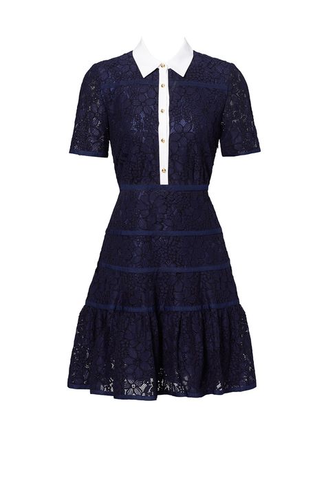 Blue Colour Dress, Navy Cocktail Dress, Navy Blue Cocktail Dress, Navy Blue Lace Dress, Floral Lace Shorts, Blue Lace Dress, Navy Lace Dress, Lace Cocktail Dress, Blue Cocktail Dress