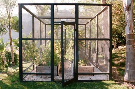 The New Vegetable Garden: 8 Favorite Edible Backyards - Gardenista Low Maintenance Garden Design, Modern Greenhouses, Mini Serre, Edible Gardens, Wooden Greenhouses, Veg Garden, Low Maintenance Garden, Vegetable Garden Design, Veggie Garden