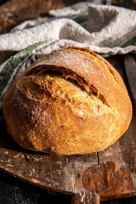 The Best (easiest) No Knead Bread: Crusty outside, light and airy inside. The easiest bread yet still impressive, soon to become a staple! Half Baked Harvest Recipes, Parmesan Bread, A Loaf Of Bread, Homemade Sourdough Bread, Knead Bread, Harvest Recipes, Beer Bread, Loaf Of Bread, Sourdough Bread Recipe