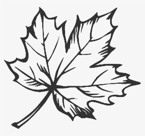 Fall Coloring Pictures, Maple Leaf Drawing, Fall Leaves Drawing, Celtic Tattoos For Men, Leaves Drawing, Maple Leaf Wreath, Tree Sketch, Leaf Tattoo, Leaf Outline