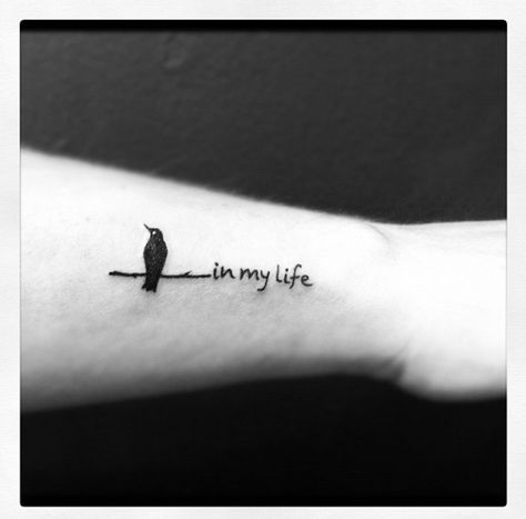 http://tattoomagz.com/beatles-lovely-tattoos/quote-and-small-bird-beatles-tattoo/ Bird Tattoo With Quote, Beatles Inspired Tattoos, Tattoo With Quote, Beatles Tattoo, Bird Design Tattoo, Rabe Tattoo, Black Bird Tattoo, Flying Bird Tattoo, Small Bird Tattoo