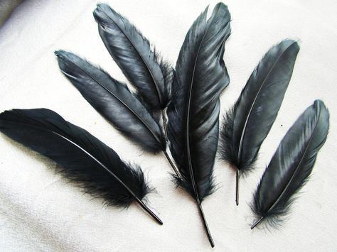 According to legend, when someone finds a black feather, it means that the guardian of their soul is near them. The feathers are supposed to remind the individual that he or she is not fighting the battles of life alone. - Black Raven Feather Feather Meaning, Crow Feather, Raven Feather, Black Bird Tattoo, Crow Tattoo, Raven Tattoo, Hogwarts Mystery, Feather Tattoo, Neck Piece