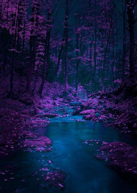 Zlaca River, Banovici, Bosnia Forest Night, Landscape Sunset, Mountain River, Fantasy Places, Photography Landscape, Foto Art, Beautiful Nature Wallpaper, Nature Aesthetic, Nature Beautiful