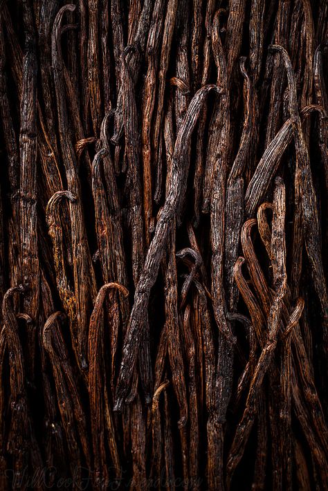 Homemade Vanilla Extract, Printable Images, Homemade Vanilla, Caravaggio, Aesthetic Colors, Brown Aesthetic, Color Textures, Vanilla Bean, Browning