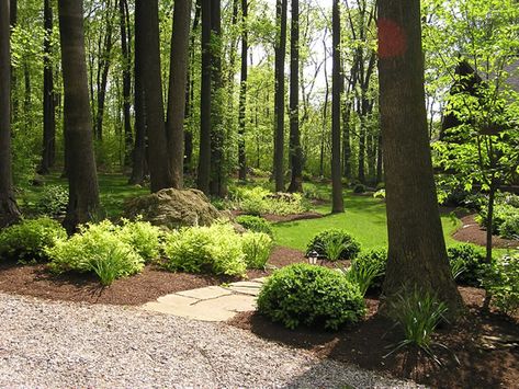 Wooded Backyard Landscape, Stone Garden Paths, Landscaping On A Hill, Mulch Landscaping, Hillside Garden, Wooded Landscaping, Fence Landscaping, Dc Metro, Forest Garden