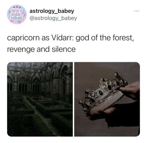 Dark Capricorn Aesthetic, Capricorn Lilith Aesthetic, Capricorn Slytherin, Intp Capricorn, Capricorn Vibes, Capricorn Things, Capricorn Meme, Zodiac Aesthetic, Capricorn Sun