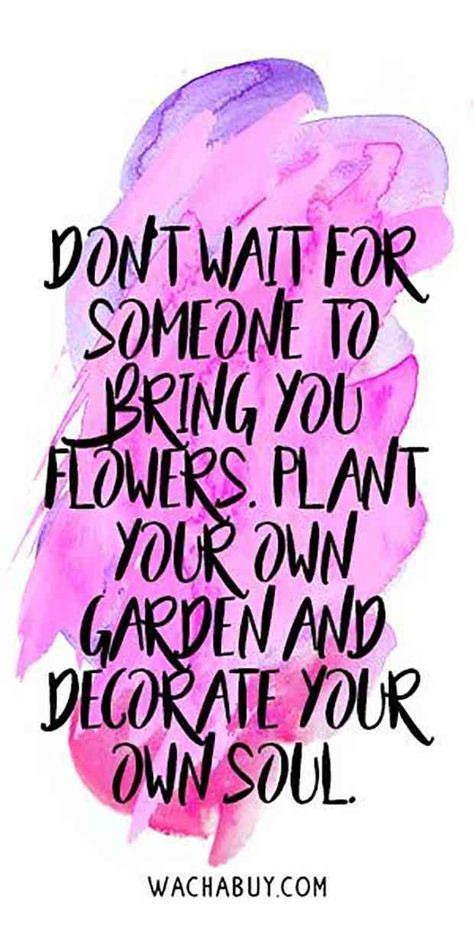 "Don't wait for someone to bring you flowers. Plant your own garden and decorate your own soul." When You Feel Lost, Membership Site, 20th Quote, Happiness Quotes, Buddha Quotes, Feeling Lost, Happy Quotes, The Words, Great Quotes