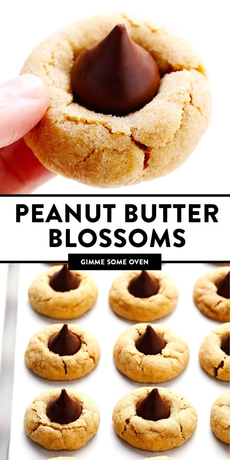 This peanut butter blossoms recipe is made with extra peanut butter, topped with Hershey's Kisses (or Reese's mini peanut butter cups), and perfectly soft and crackled. Always a favorite cookie recipe around the holidays and Christmas! | gimmesomeoven.com #peanutbutter #blossoms #cookies #hersheys #kiss #dessert #christmas #holidays #baking Best Peanut Butter Blossoms, Blossoms Cookies, Peanut Butter Blossoms Recipe, Peanut Butter Blossom, Butter Blossoms, Dessert Christmas, Peanut Butter Blossom Cookies, Blossom Cookies, Peanut Butter Blossoms