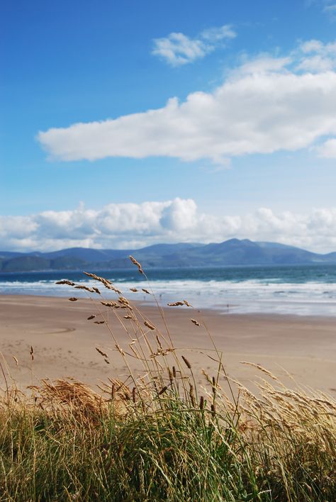 Inch Beach, Ireland... Where Coldplay shot their music video for "Yellow" Inch Beach Ireland, Irish Beach Aesthetic, Ireland Beach Aesthetic, Ireland Seaside, Irish Gods, Midnight Beach, Irish Beach, Backpacking Ireland, Ireland Weather