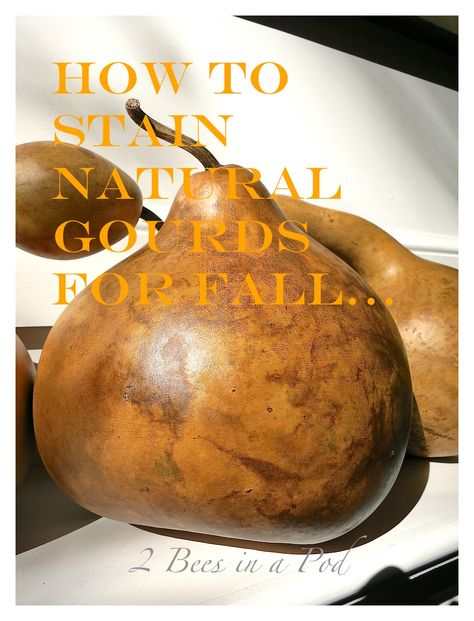 How to Stain Natural Gourds for Fall... - 2 Bees in a Pod Natural Fall Decor, Gorgeous Gourds, Gray Tabby, Easy Fall Wreaths, Gourds Birdhouse, Martin House, Hand Painted Gourds, Gourds Crafts, Painted Gourds