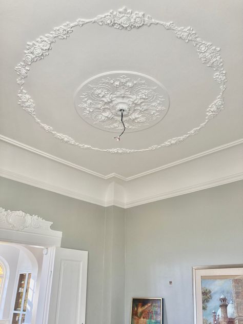 Ceiling French Molding, Molding On Ceiling Ideas, Fancy Crown Molding, Ceiling Plaster Design, Ceiling Moulding Design, Ceiling Molding Design, Fancy Ceiling, Crown Molding Vaulted Ceiling, Ceiling Rosette