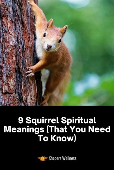 Squirrel Spiritual Meaning, Dead Squirrel, Spiritual Animals, Witch Meaning, Bible Meaning, Spirit Animal Meaning, Animal Meanings, Spiritual Animal, Albino Animals