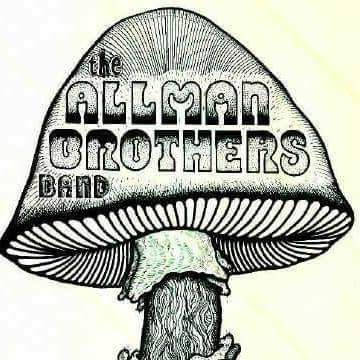 Original Allman Brothers logo The Allman Brothers, Widespread Panic, Chalk Sign, Allman Brothers Band, Allman Brothers, Band Logos, Big Houses, Pretty Cool, Painted Rocks